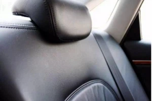 safety belt