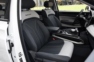 seat cover